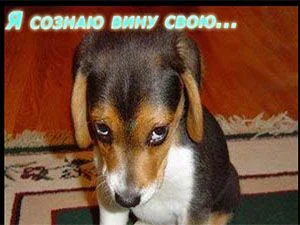 я сознаю вину свою.webp