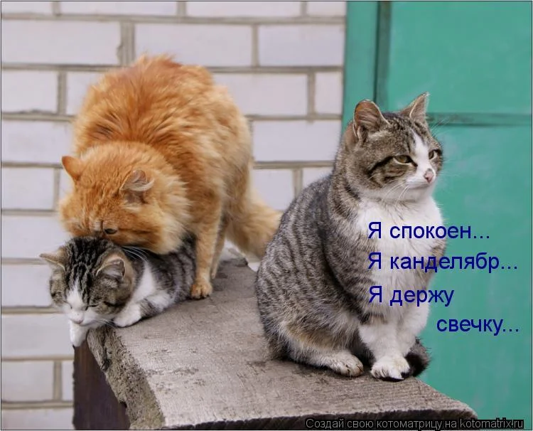 Я спокоен.webp