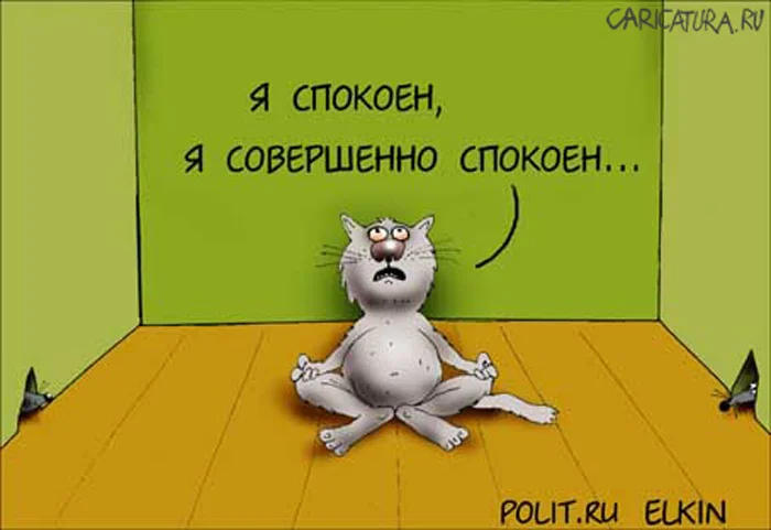 я спокоен.webp