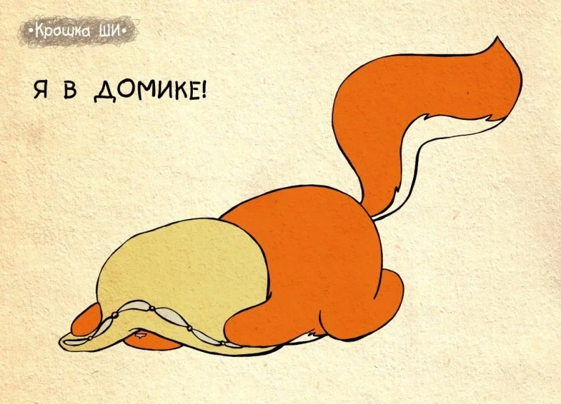 я в домике.webp