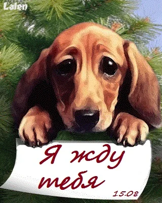 я жду тебя.webp