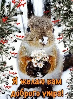 Я желаю Вам доброго утра ! - Мир картинок анимаций !.webp
