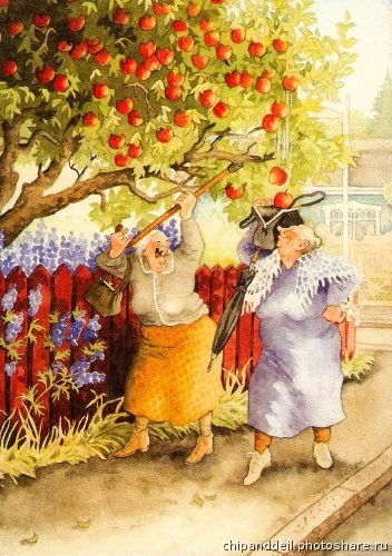 яблоки прикол.webp