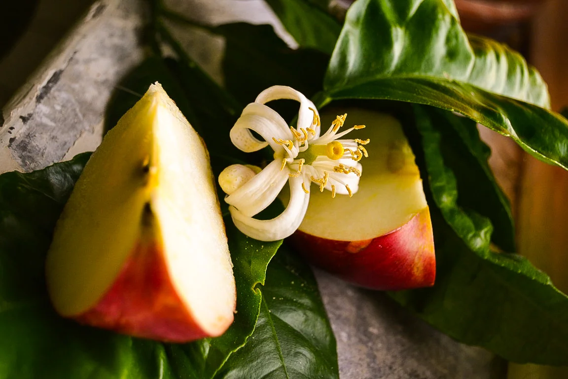 Яблоко и цветок.webp