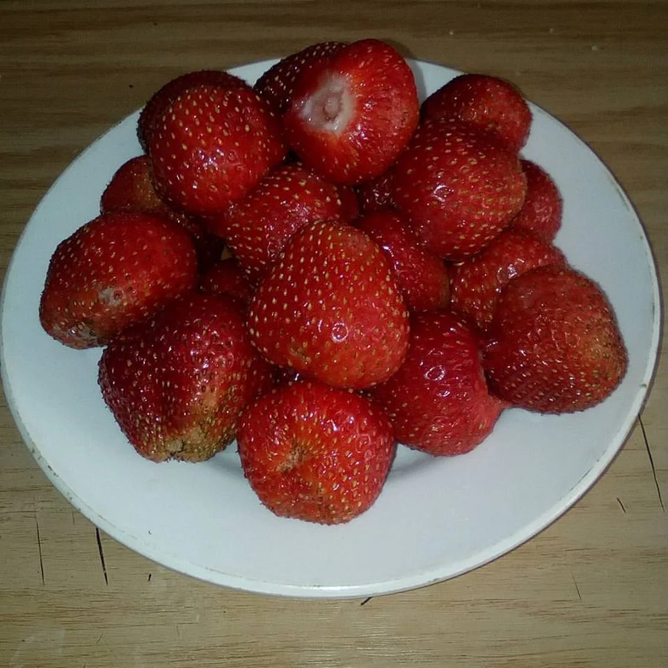 ягоды2.webp