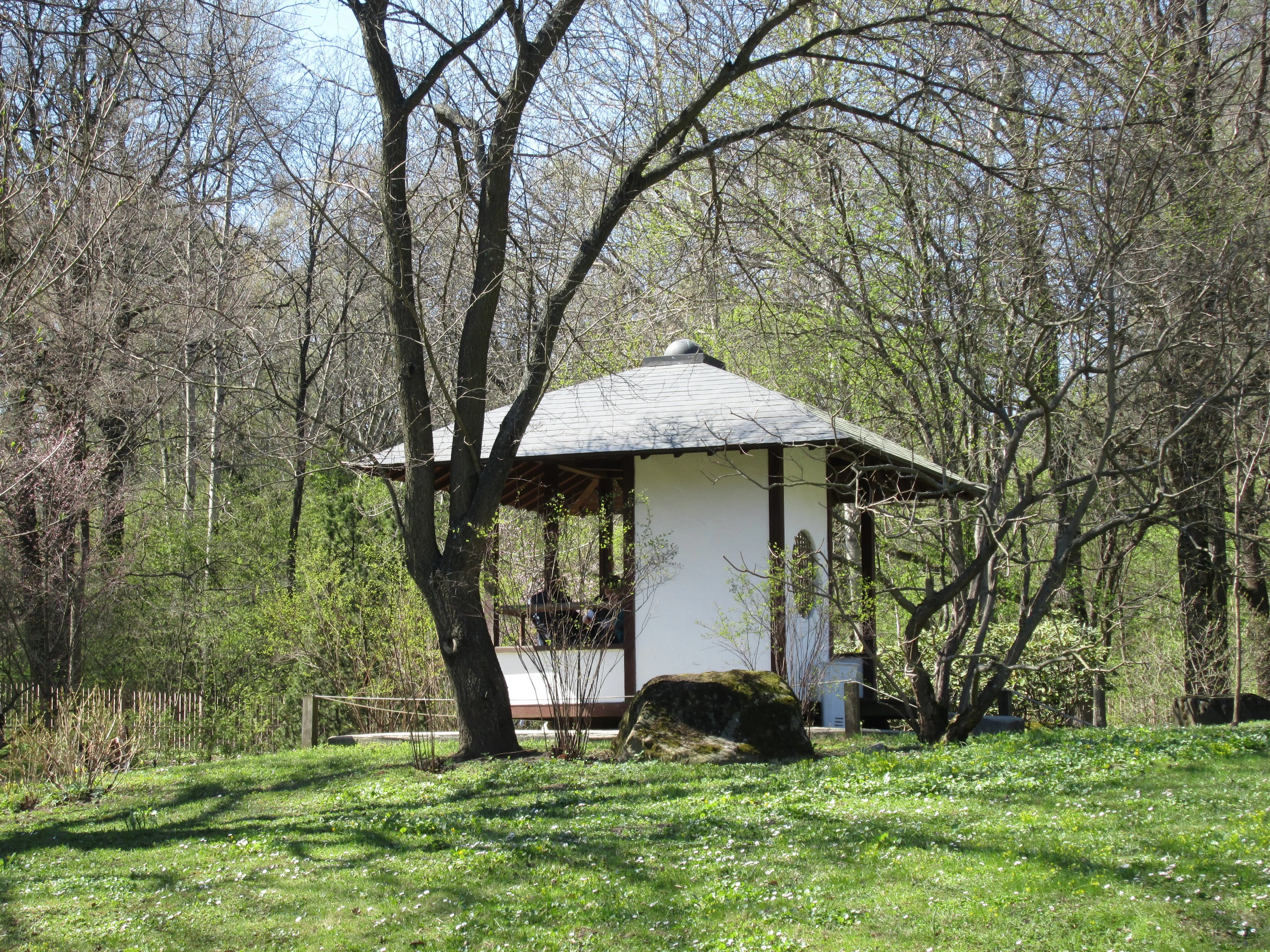 японский сад.webp