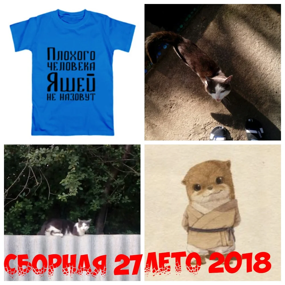 Яша коллаж.webp