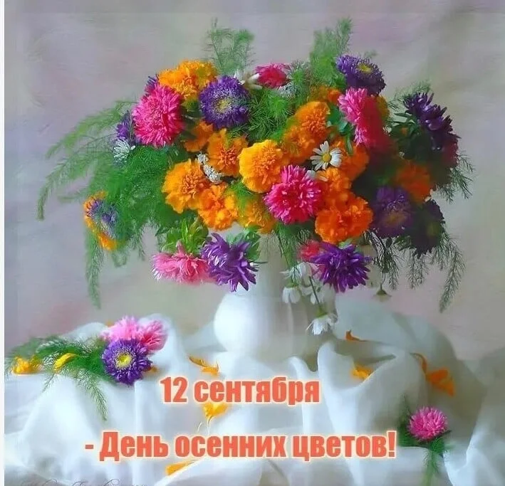Jc9gj_b88Pg.webp
