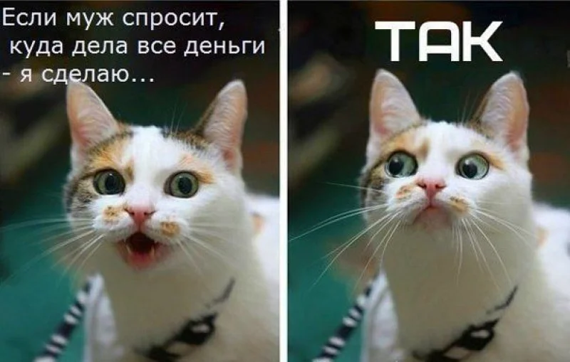 jfkvbx690nbg.webp
