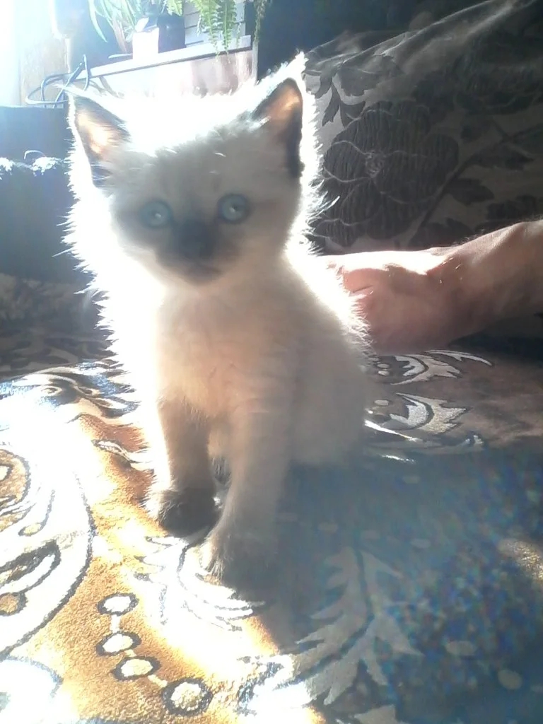 JFpUI4HO7GU.webp