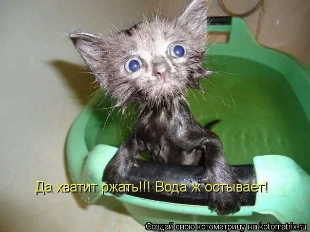 jGB_R9n3nww.webp