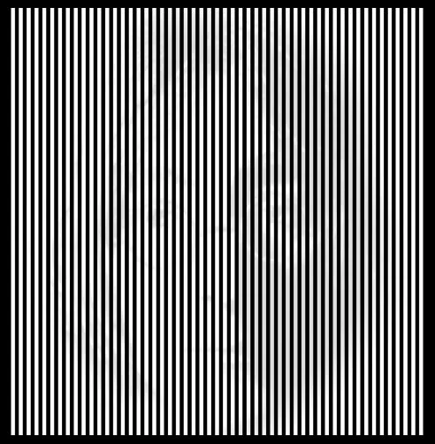 john-lennon-portrait-optical-illusion.webp