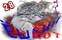 Ёшкин котКом2.png