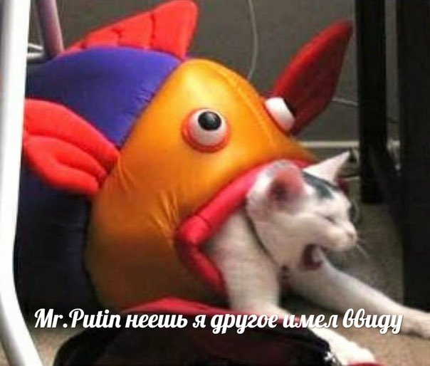 ю.ж.jpg