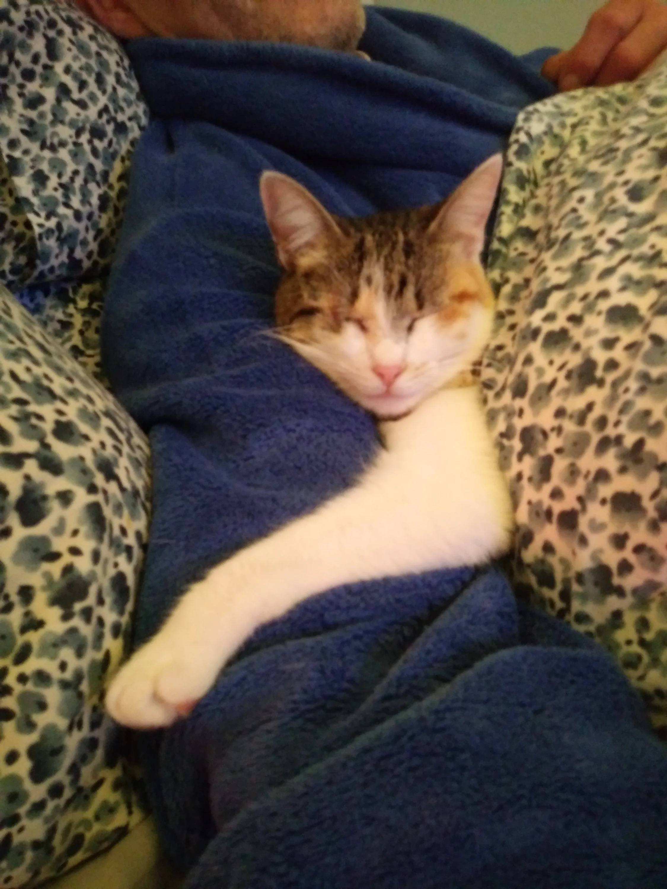 Юлия Хо. Мария Сергеевна.webp