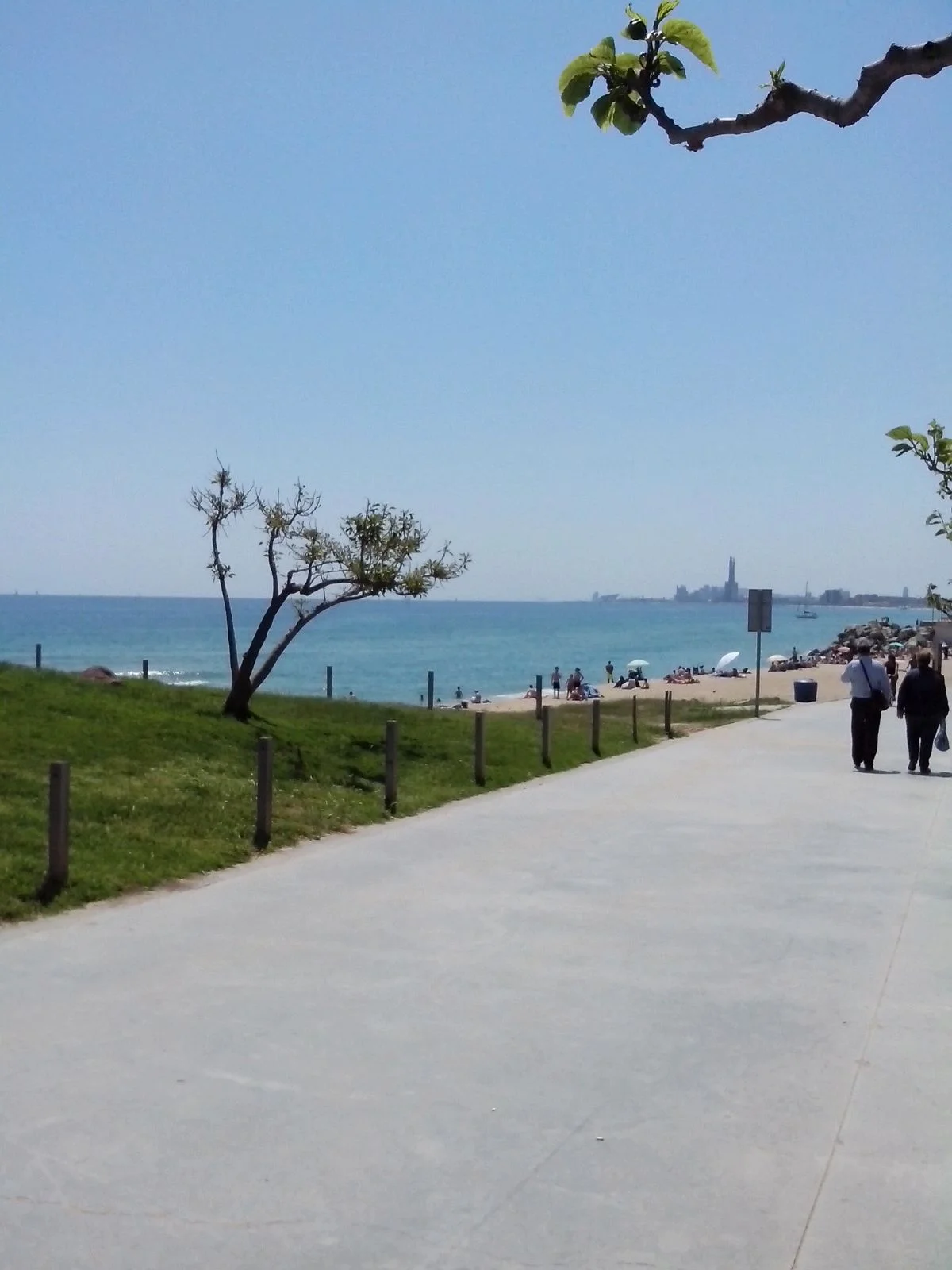 Юлия ХоИсп.jpg