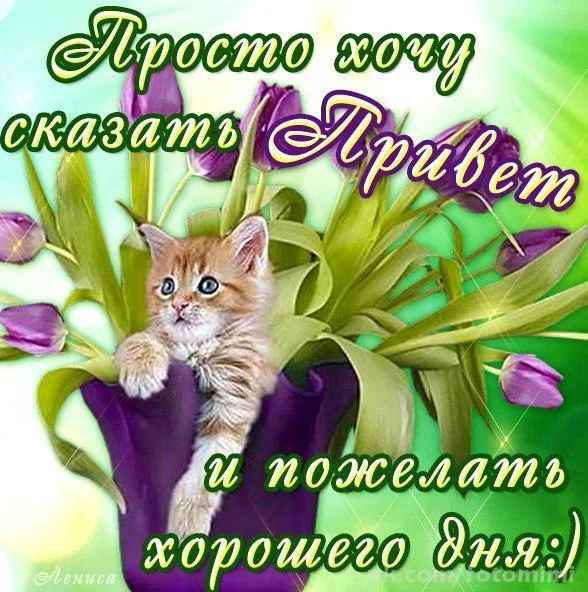 юрко.webp