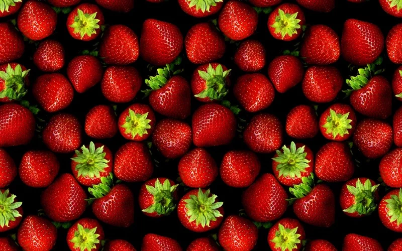 JV80KTC4jl-crop.webp