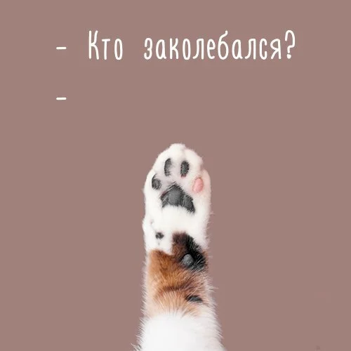 jwFy_ZSs3_Y.webp