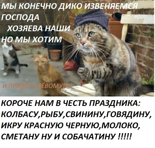 Jwz78B1uf4.webp