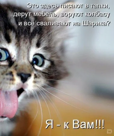 к вам.webp