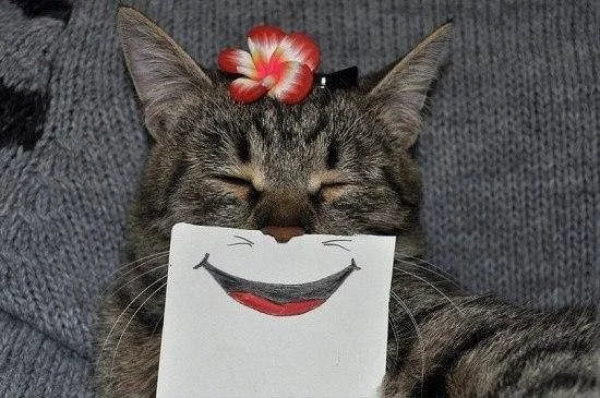 к.webp