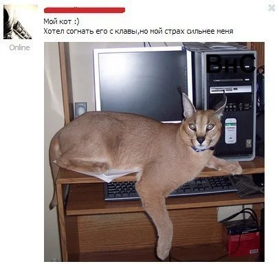 K40ak2M4oVg.webp