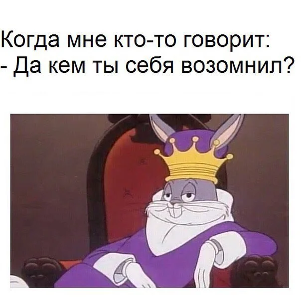 kA-tVjOna7o.webp