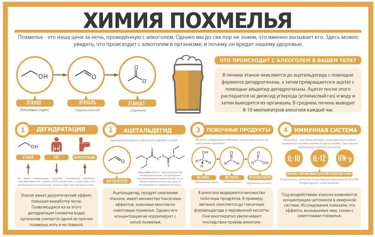 Kak-bystro-otrezvet-ot-alkogolya-5.webp