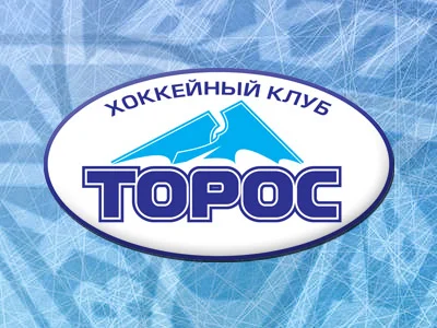kak-dela-toros-neftekamsk_1311662157148471180200.webp