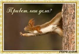 как дела.webp