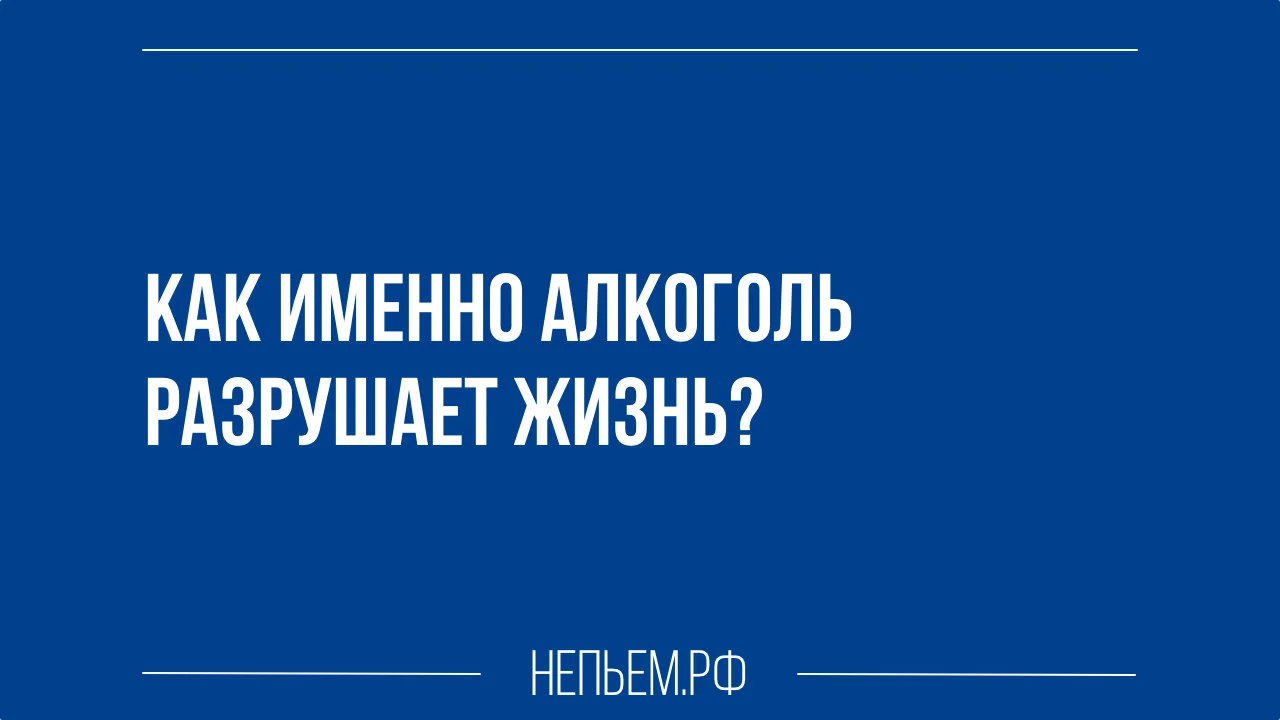 как именно алкоголь разрушает жизнь.webp