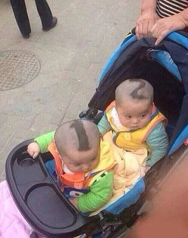 как их различать.webp