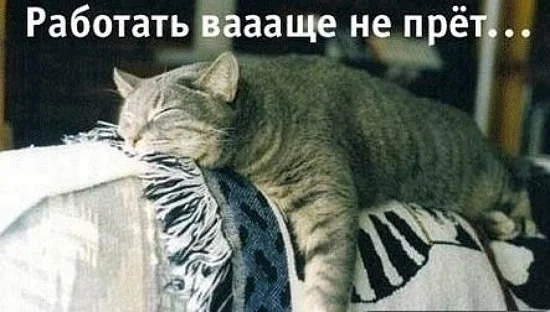 kak-zastavit-sebya-rabotat-4.webp