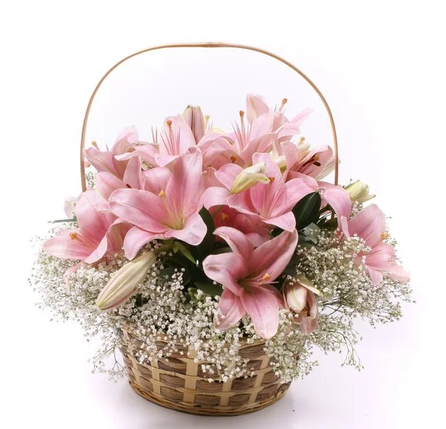 kakie_cvety_podarit_devushke_readmas.ru_.webp