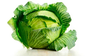kapusta-belokochannaja.webp