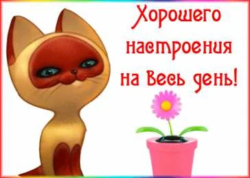 картинка (1).webp