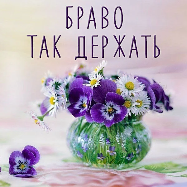 kartinka-bravo-tak-derzhat.webp