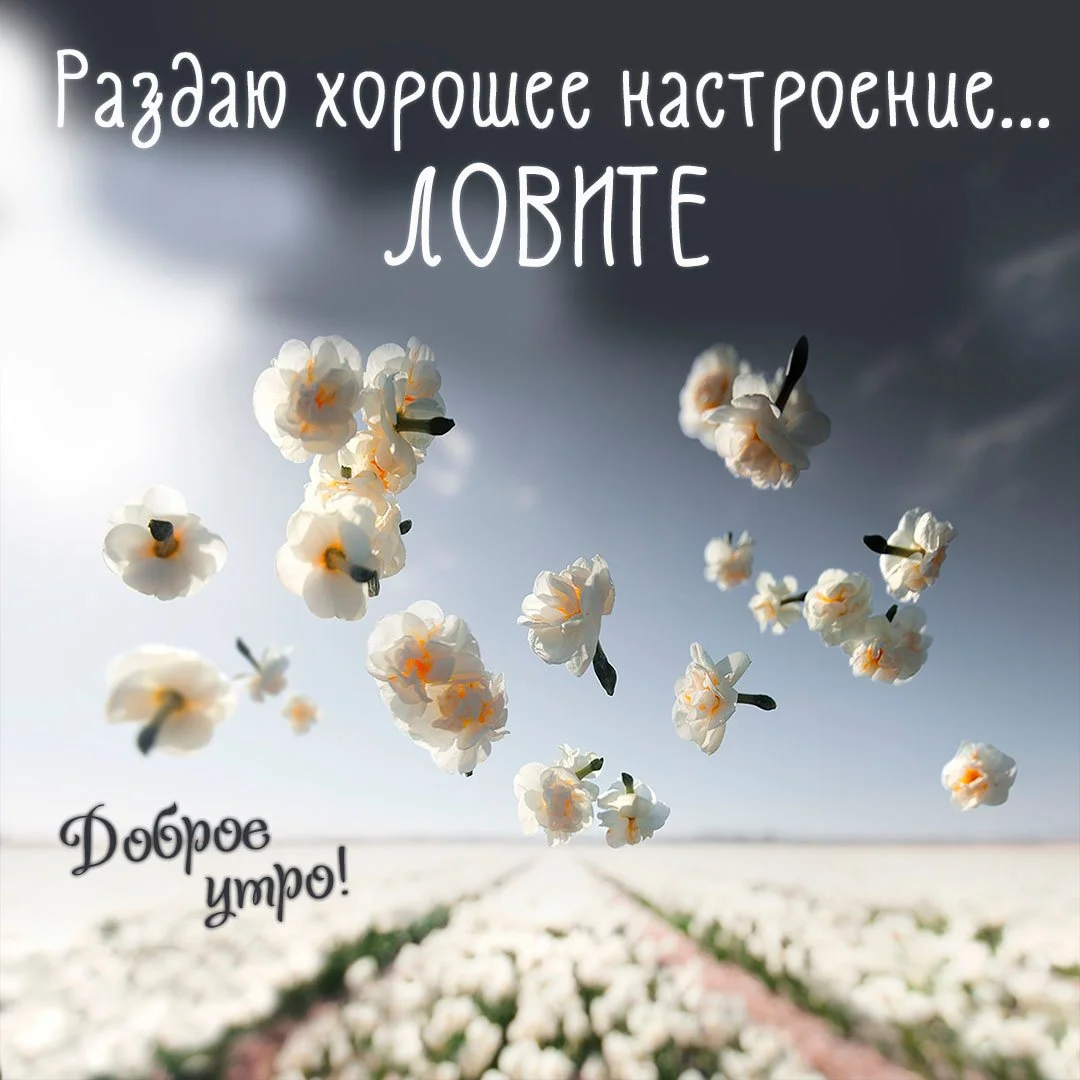 kartinka-dobroe-outro-khoroshego-dnya-krasivaya-neobychnaya.webp