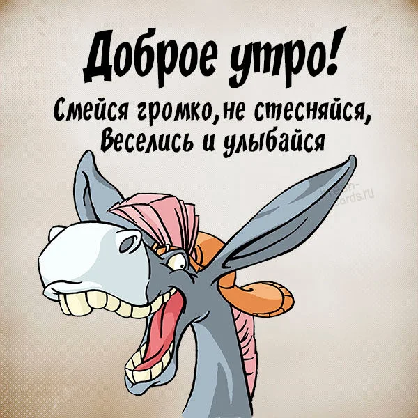 kartinka-dobroe-outro-prikolnaya-smeshnaya-s-zhivotnymi.webp