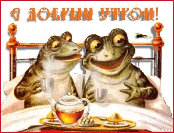 kartinka-dobroe-utro-3.webp