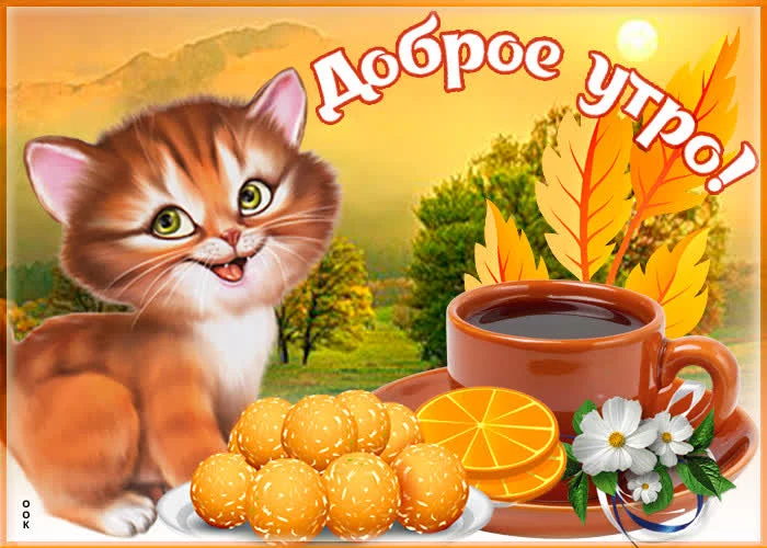 kartinka-dobroe-utro-s-koshkoy-78054.webp