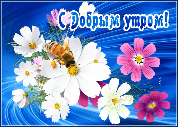 kartinka-dobroe-utro-s-tsvetami-5449.webp