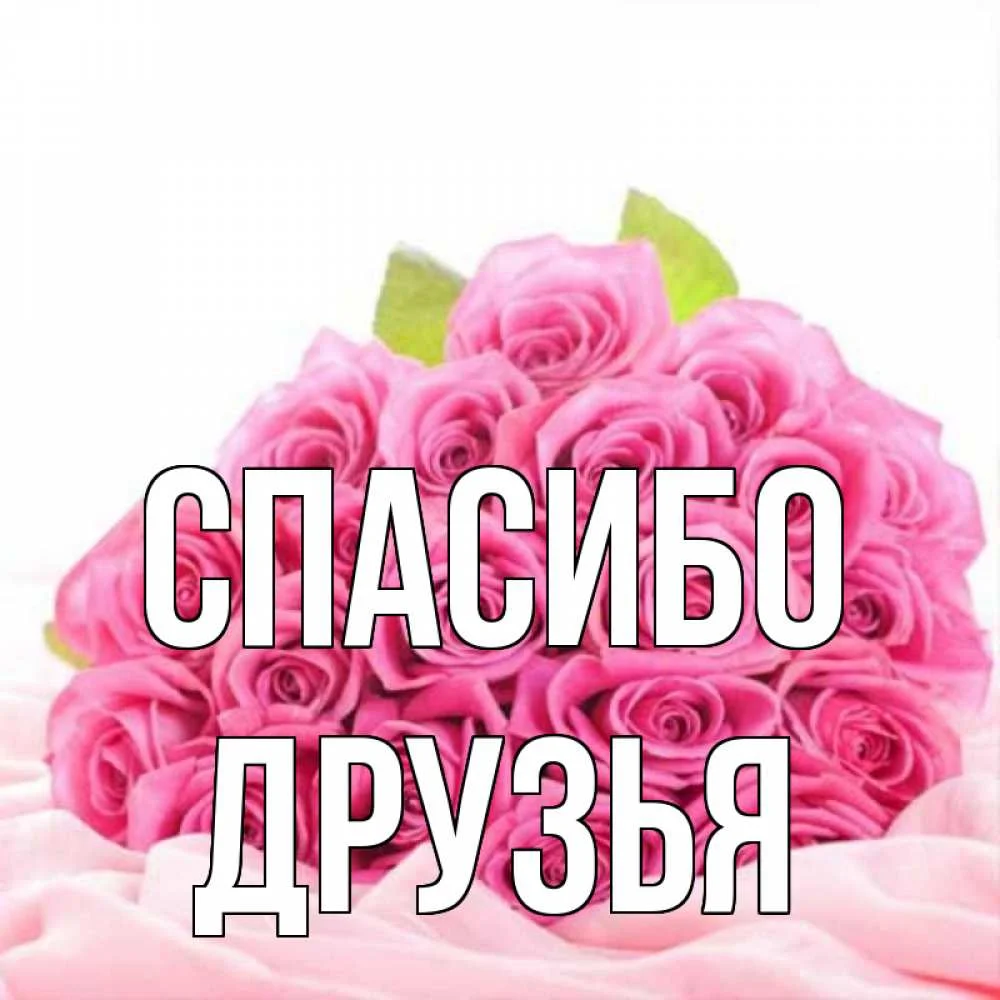 картинка-Друзья-Спасибо-646.webp