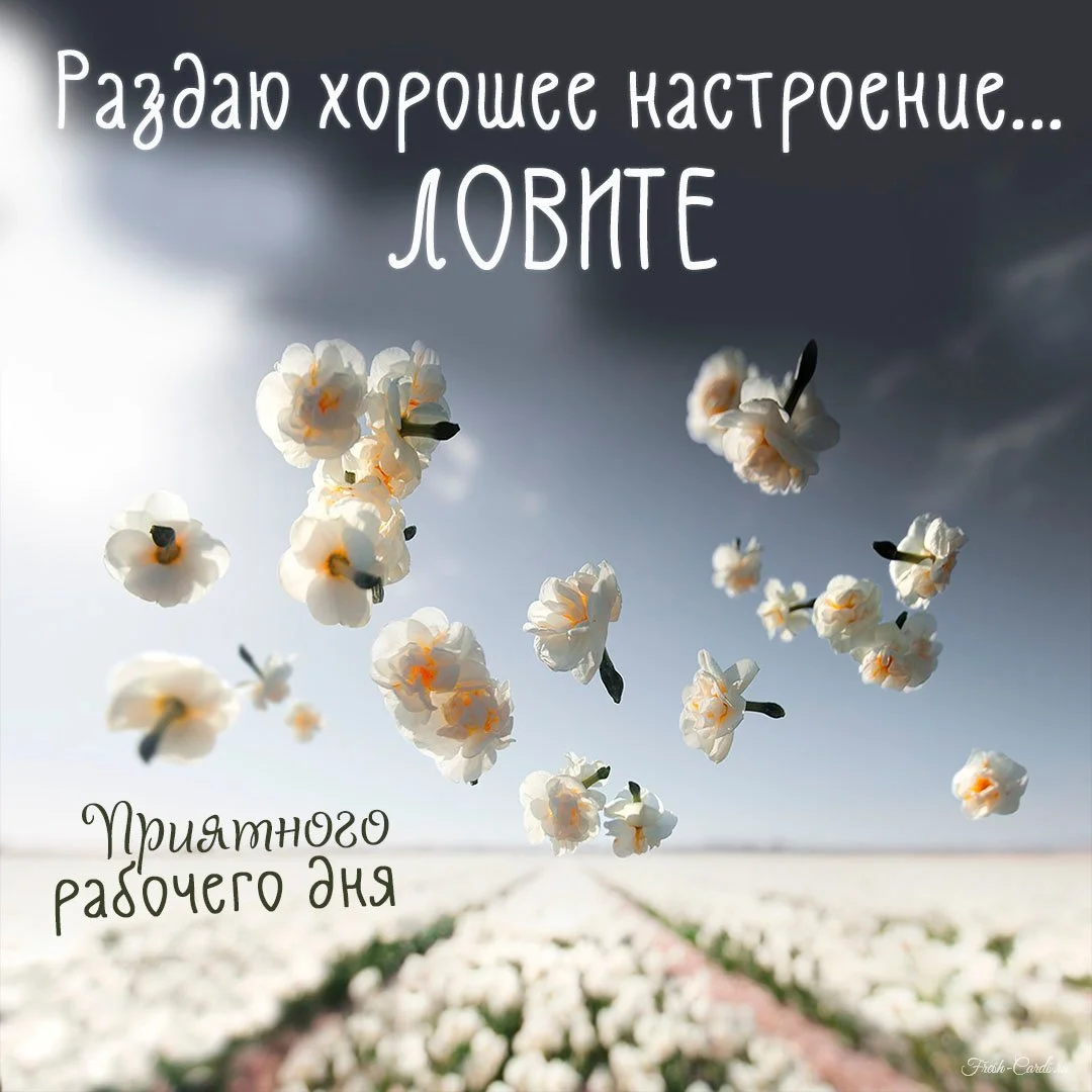 kartinka-khoroshego-rabochego-dnya-i-nastroeniya.webp