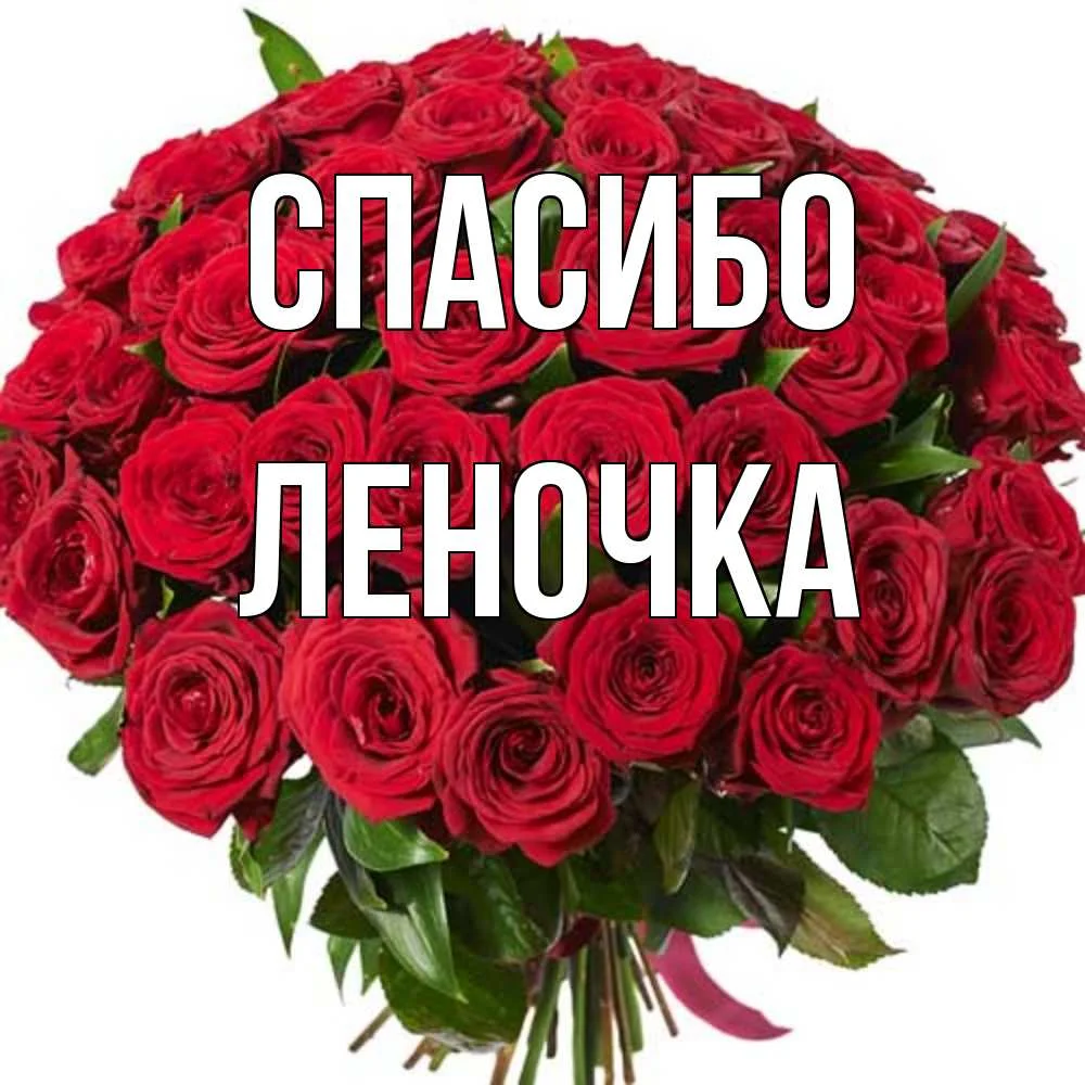 картинка-ЛЕНОЧКА-Спасибо-647.webp