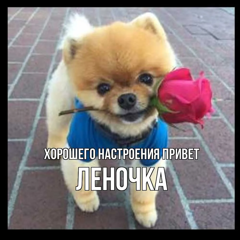 картинка-Леночка-хорошего-настроения-Привет-831.webp