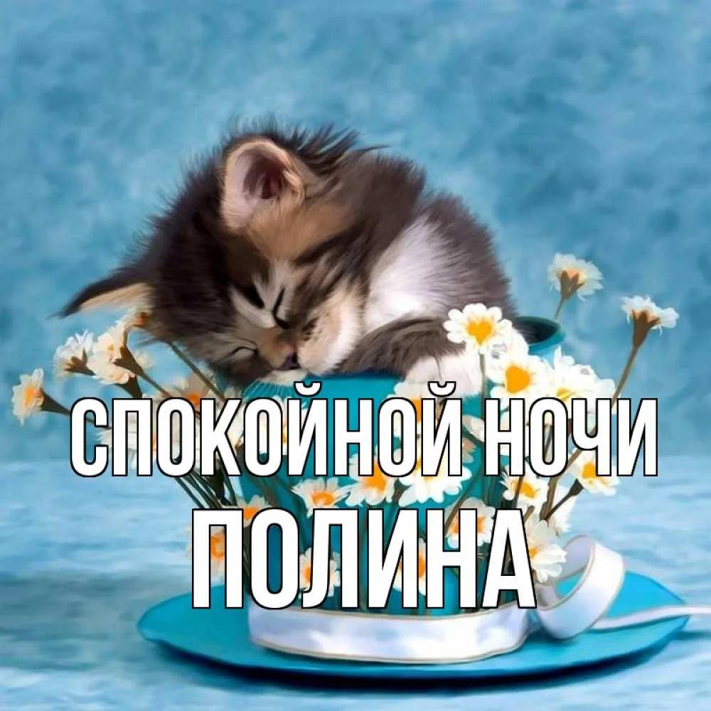 картинка-Полина-Спокойной-ночи-1237.webp