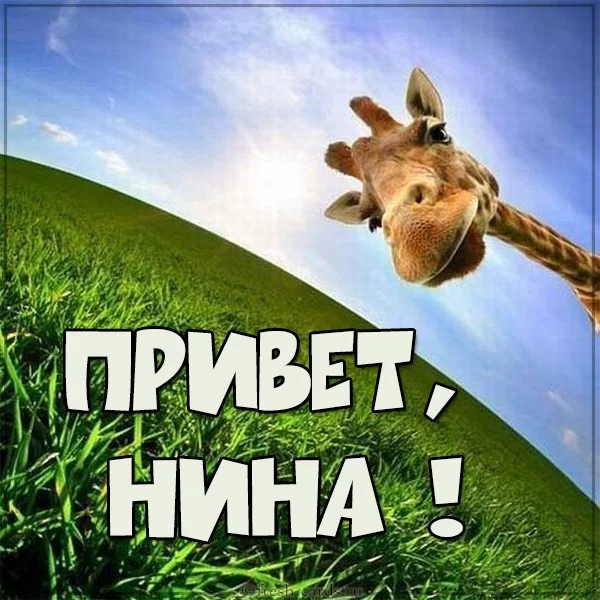 kartinka-privet-nina.webp