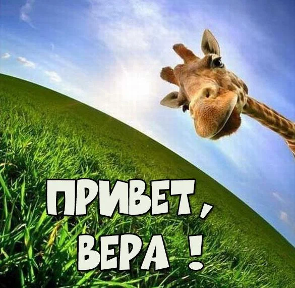 kartinka-privet-vera.webp